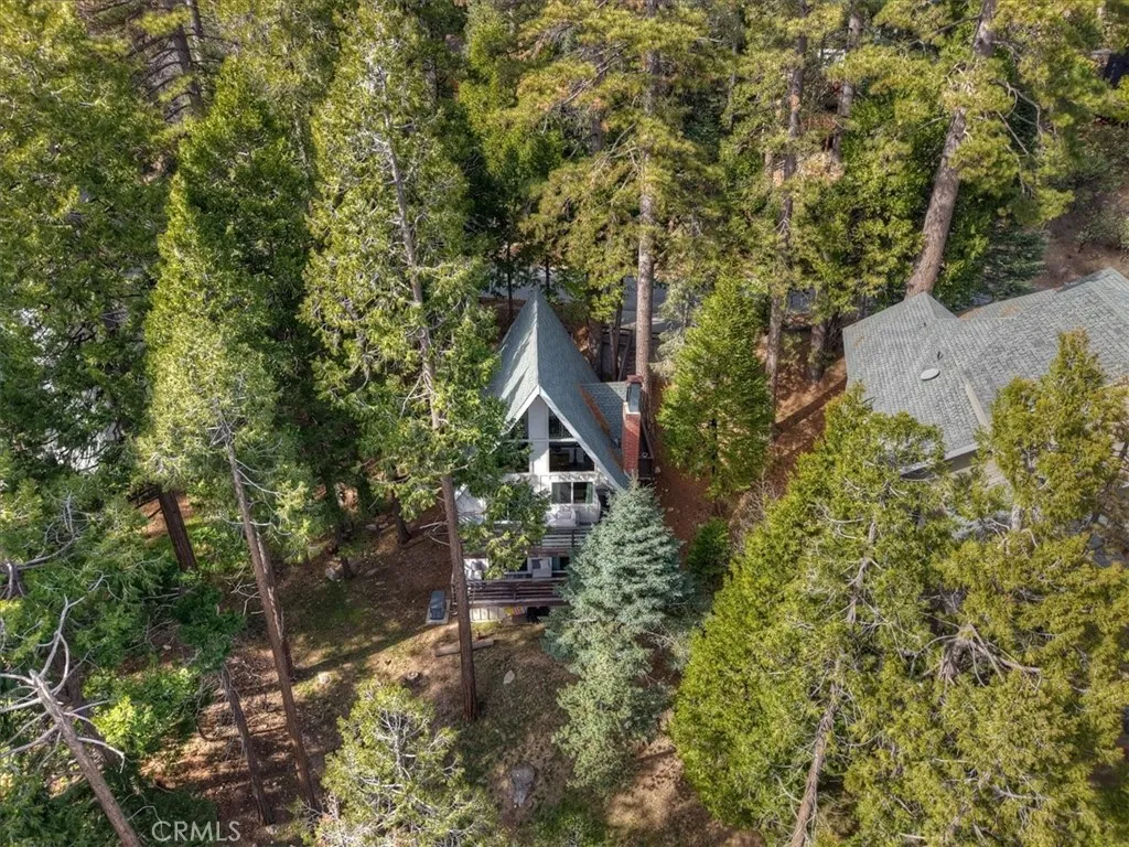155 Birchwood, Lake Arrowhead, California 92352 home-pic-52