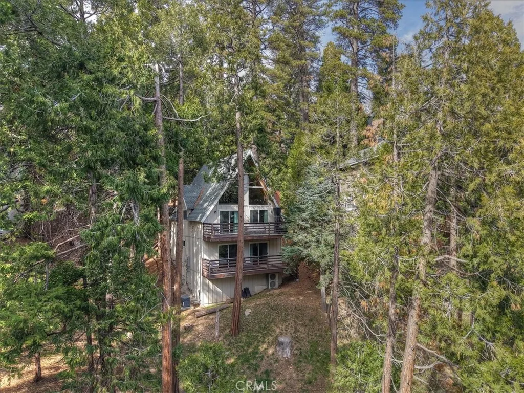 155 Birchwood, Lake Arrowhead, California 92352 home-pic-59