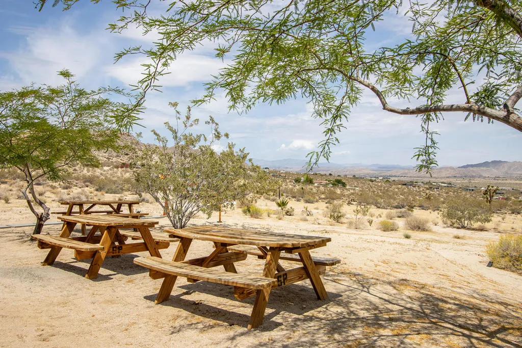 7122 Sunkist Road, Joshua Tree, California 92252 home-pic-25