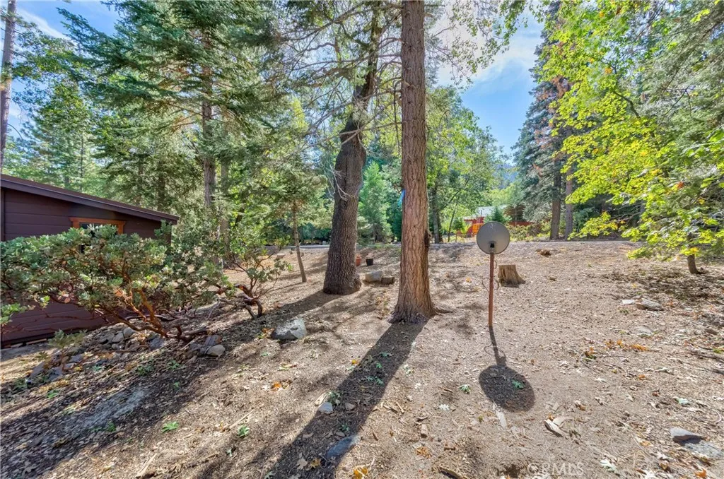37751 Foxfield Road, Angelus Oaks, California 92305 home-pic-47