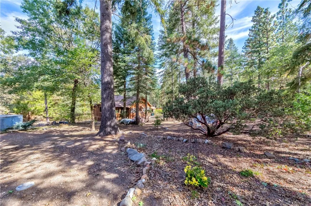 37751 Foxfield Road, Angelus Oaks, California 92305 home-pic-44