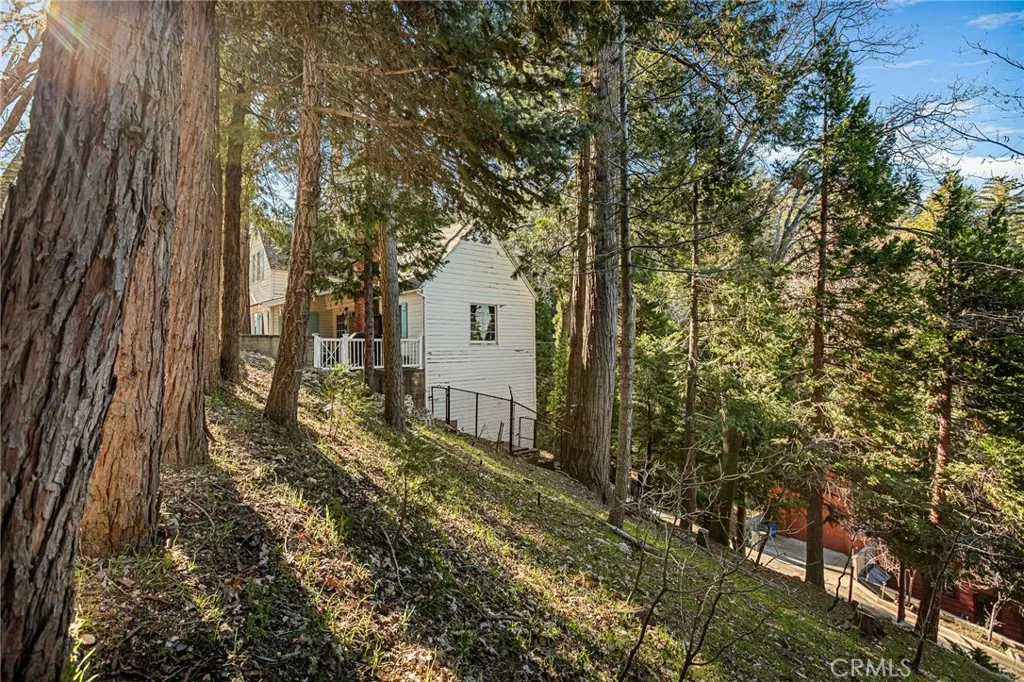 363 Mittry, Lake Arrowhead, California 92352 home-pic-24