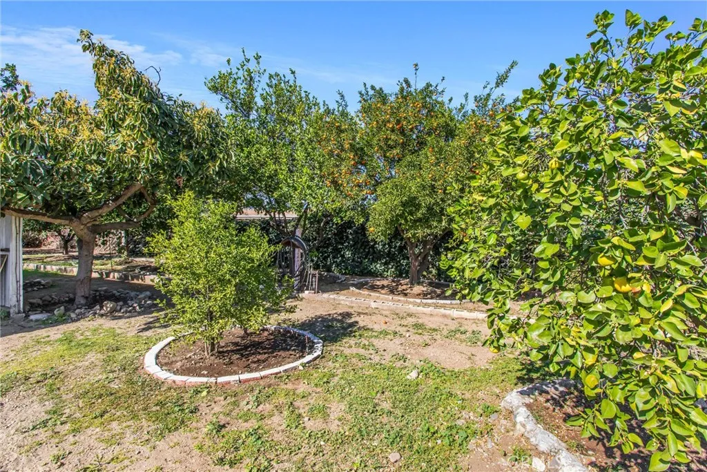 193 N Maple Avenue, Fontana, California 92335 home-pic-23