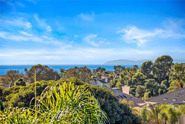 31 Shorebreaker, Laguna Niguel, California 92677