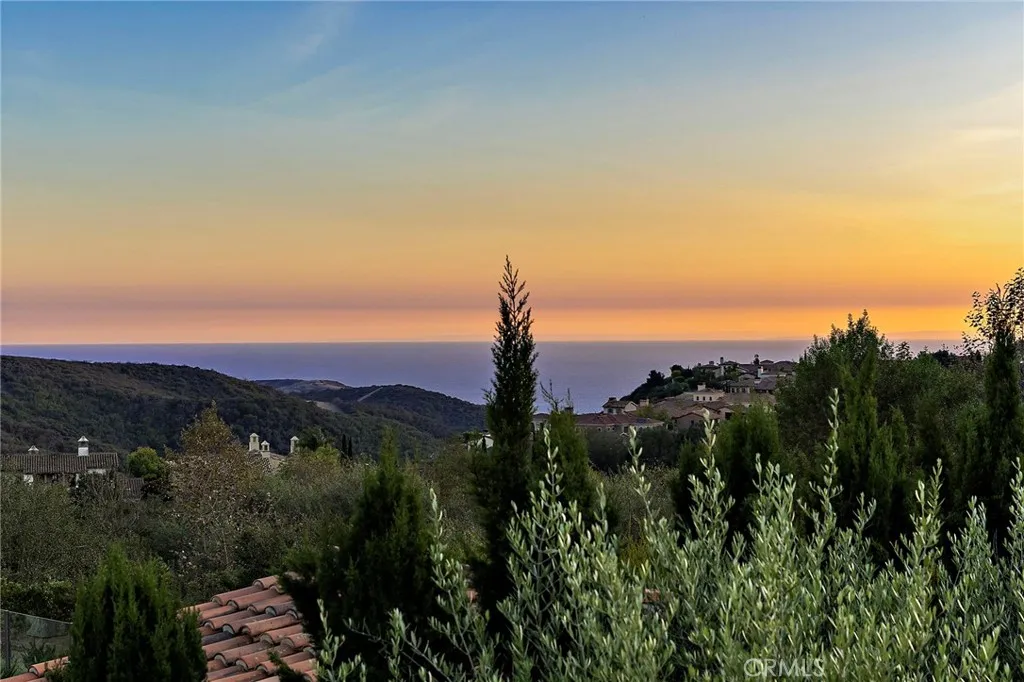 6 Canyon Peak, Newport Coast, California 92657 home-pic-2