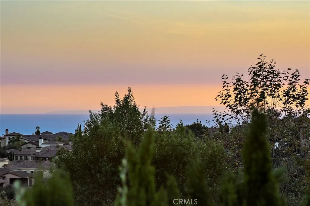 6 Canyon Peak, Newport Coast, California 92657 home-pic-33