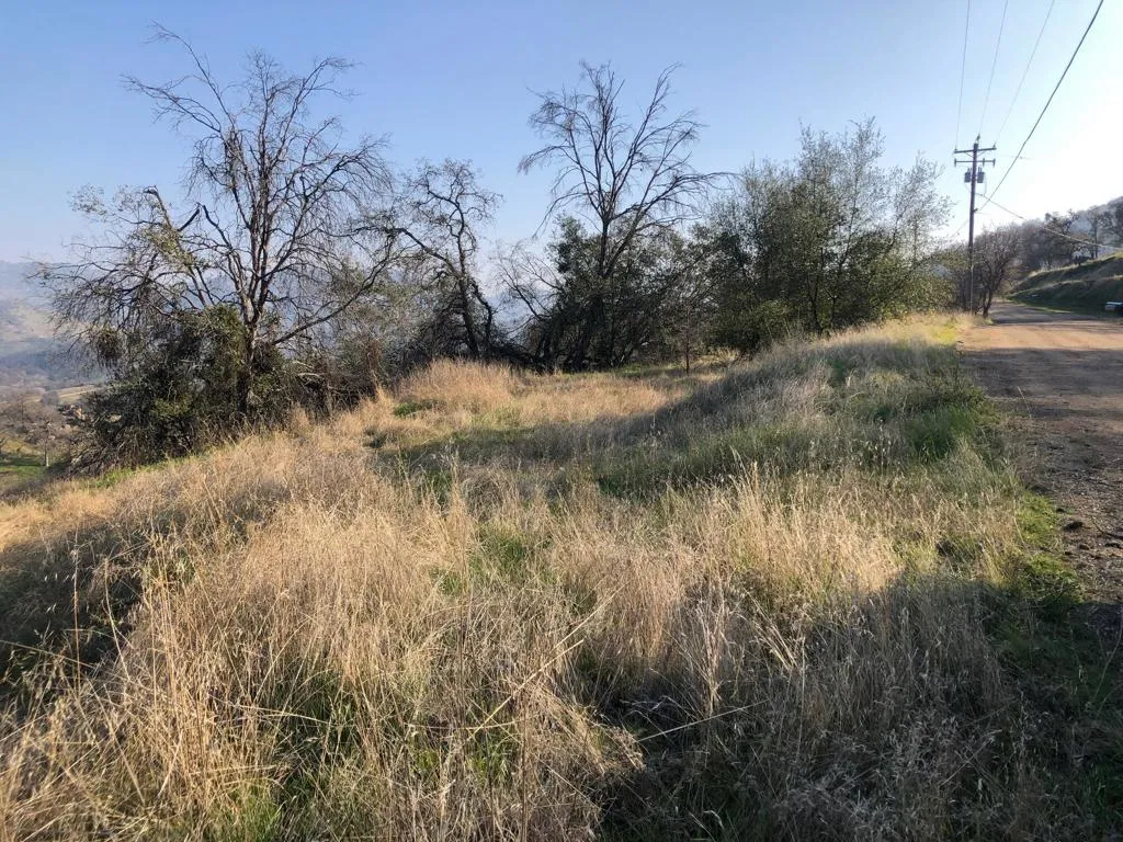 IMG_6290