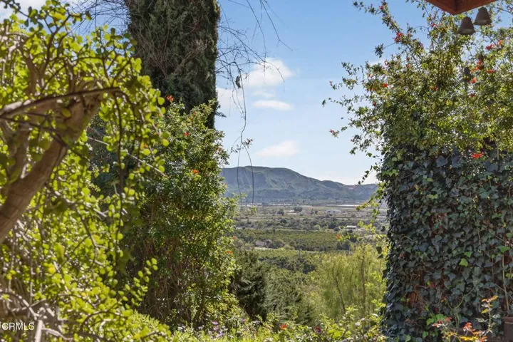 30-web-or-mls-UpmarketMedia-1172Oak-090