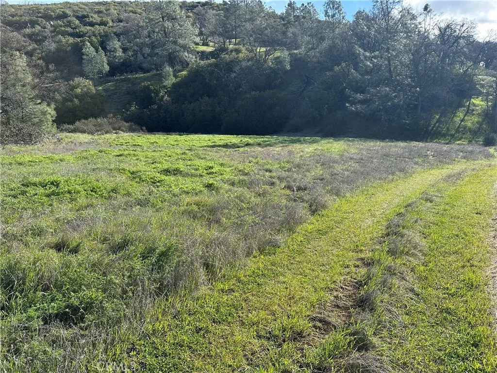 Flat area next to main road