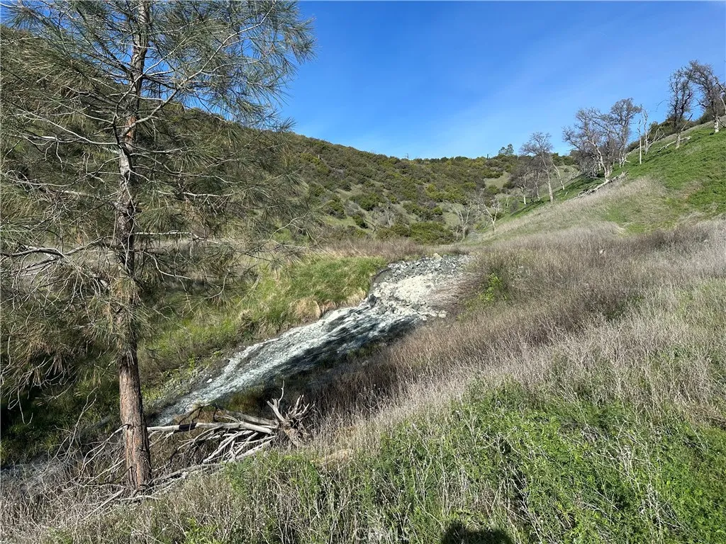 This is what the spring looks like as you approach it on the access road from the highway