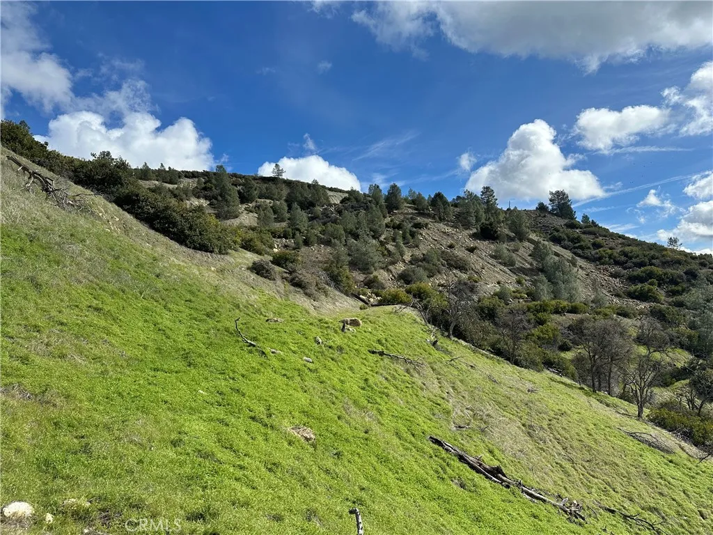 Looking up toward the Abbott Mine. Property goes over the top of this. Views from the top are spectacular