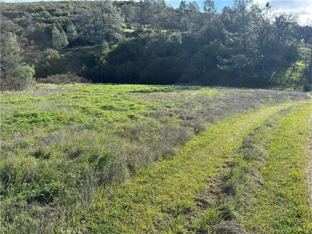 Flat area next to main road