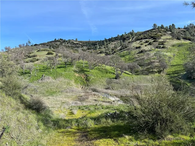 Most of the land is open with trails and roads crossing it