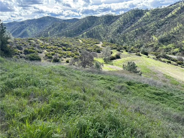 Looking south from the center of the eastern side of the property
