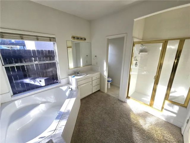 Master Restroom View 2