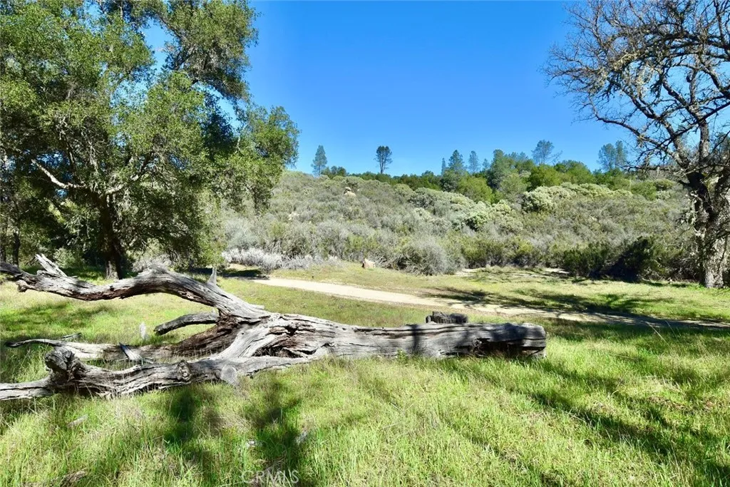 76450 Deer Pass Road, Bradley, California 93426 home-pic-42