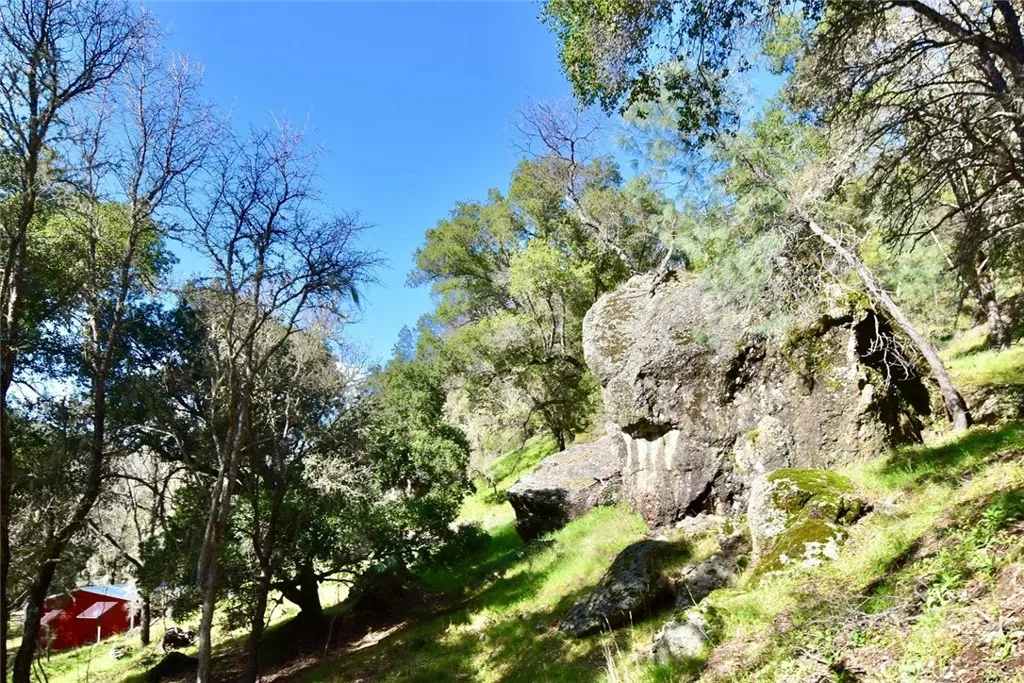 76450 Deer Pass Road, Bradley, California 93426 home-pic-31