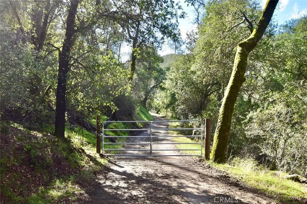 76450 Deer Pass Road, Bradley, California 93426 home-pic-44