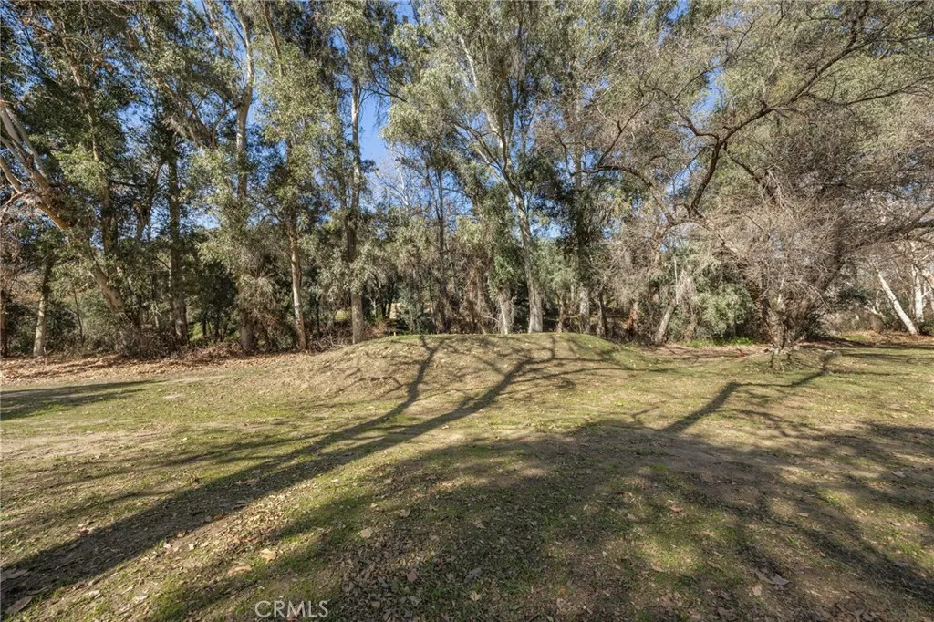 Open Pasture