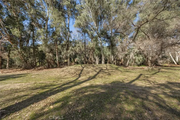 Open Pasture