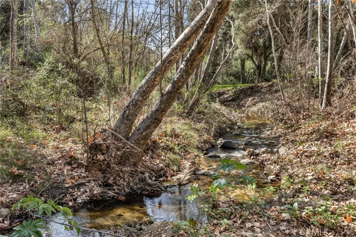 Year Round Creek