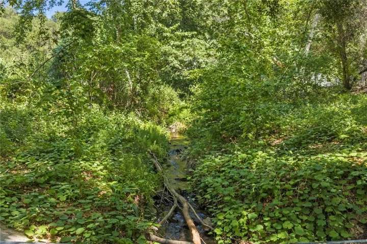 Year Round Live Creek