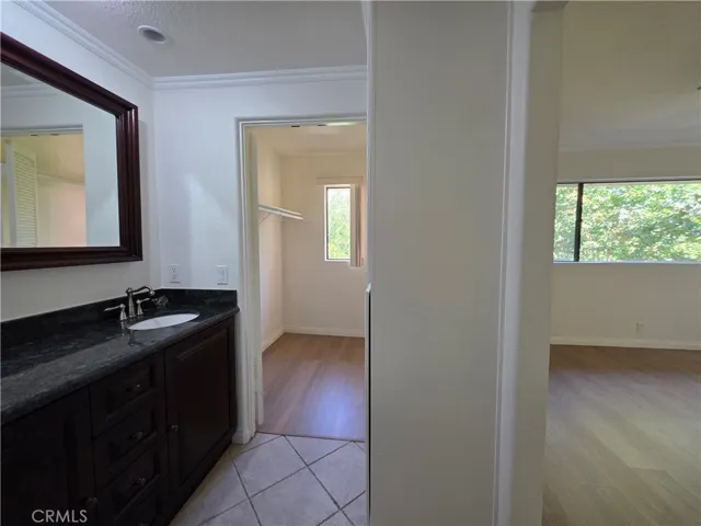 Master bathroom and closet