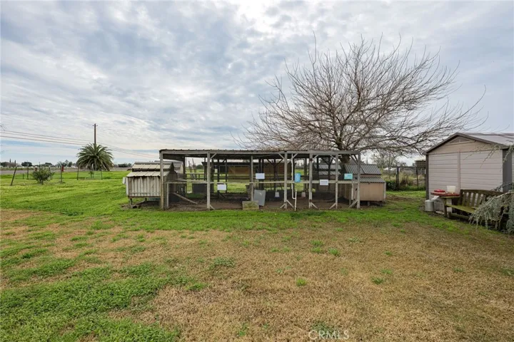 Amazing Chicken Coupe