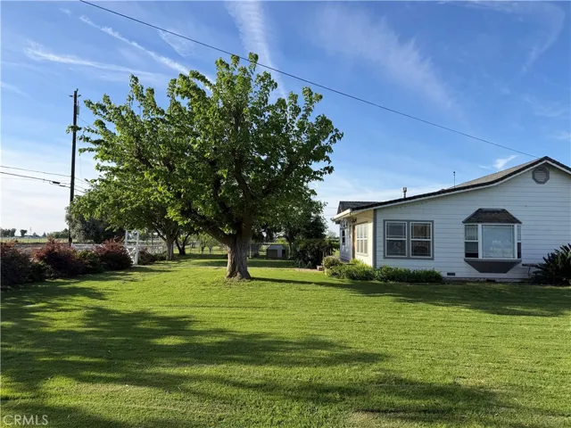 North Front/side yard