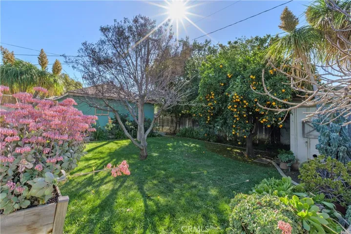 There are multiple fruit trees in the garden including valencia orange, fig, grapefruit, and apricot.