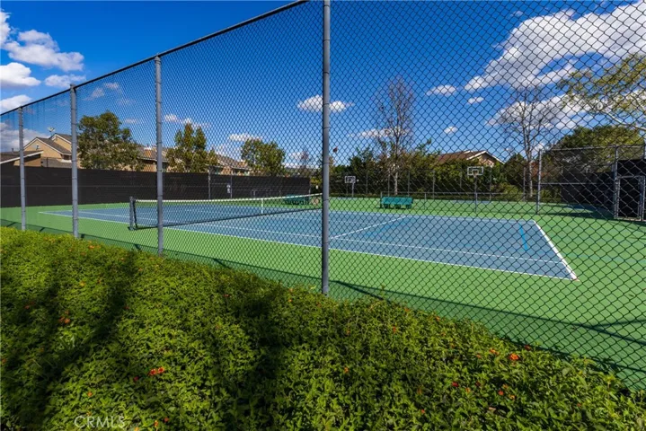 BASKETBALL COURTS