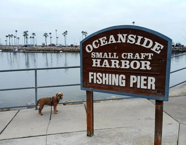 Welcome to Oceanside Harbor