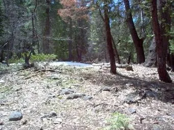 Looking across back lot line and into Yosemite National Park.