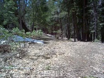 Looking across property, with Yosemite National Park in background.
