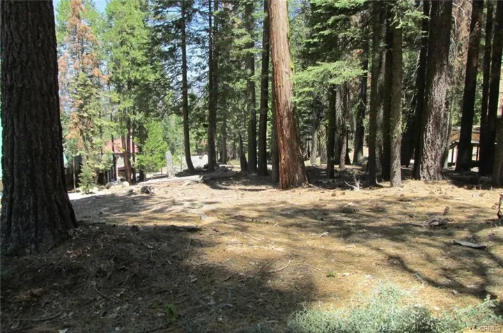 Gentle homesite sits above the road for privacy.