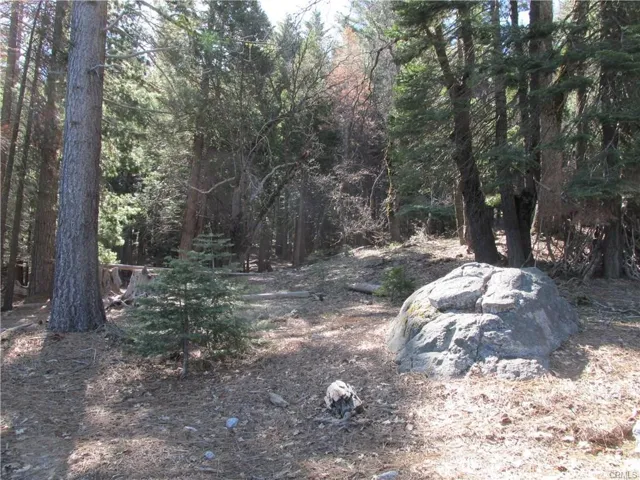 Looking into Yosemite National Park from property.