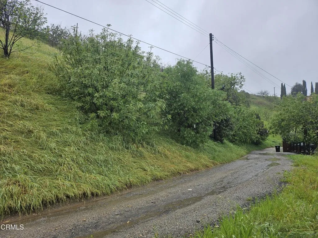 Looking slightly N from road