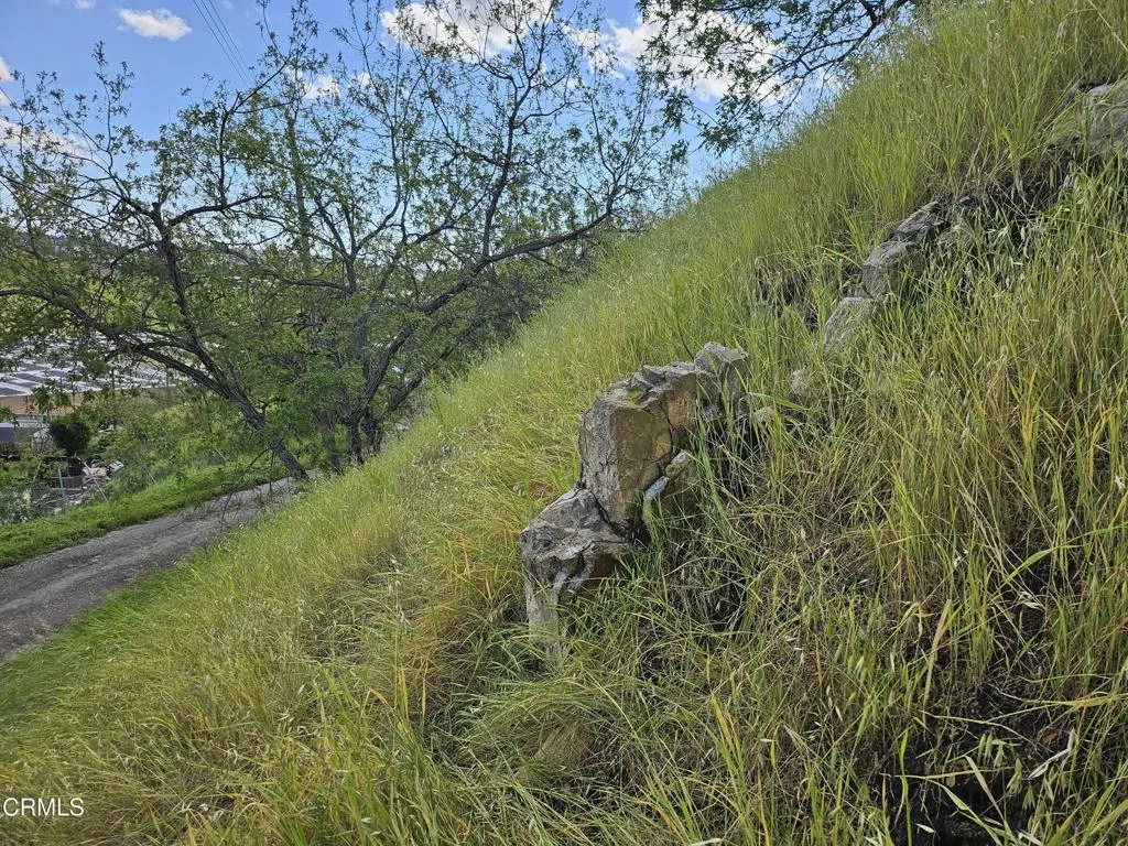 Artistic rock on lot