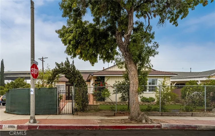 Large front yard