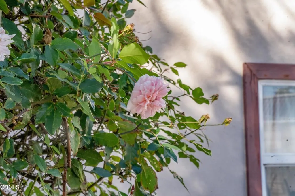 550 S G Street, Oxnard, California 93030 home-pic-33