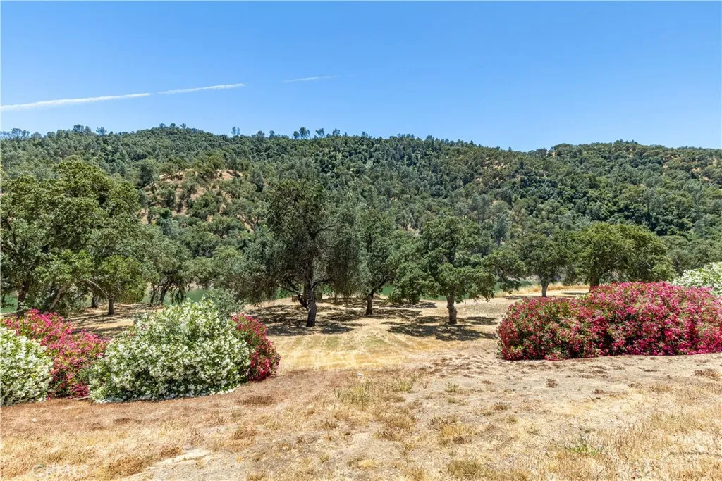 4720 Shady Creek Lane 54, Paso Robles, California 93446 home-pic-39