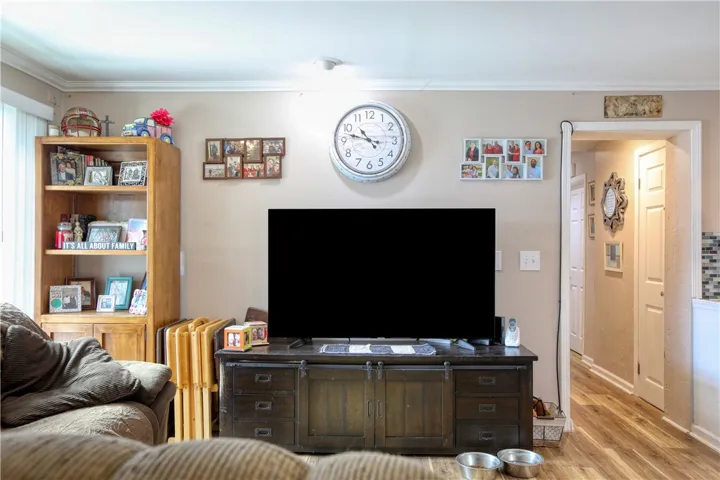 Lower Unit Living room