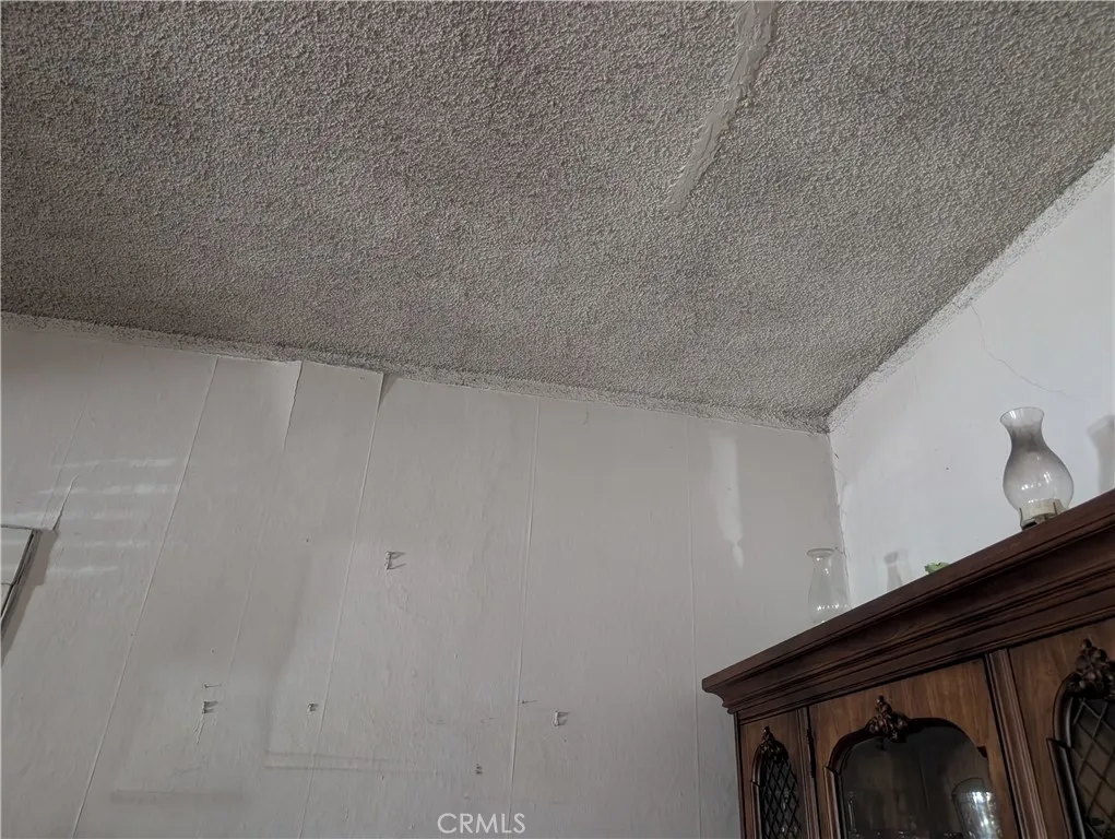 975 E 43rd Street, Los Angeles, California 90011 home-pic-12