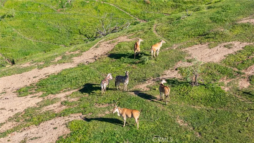 Exotic animal ranch