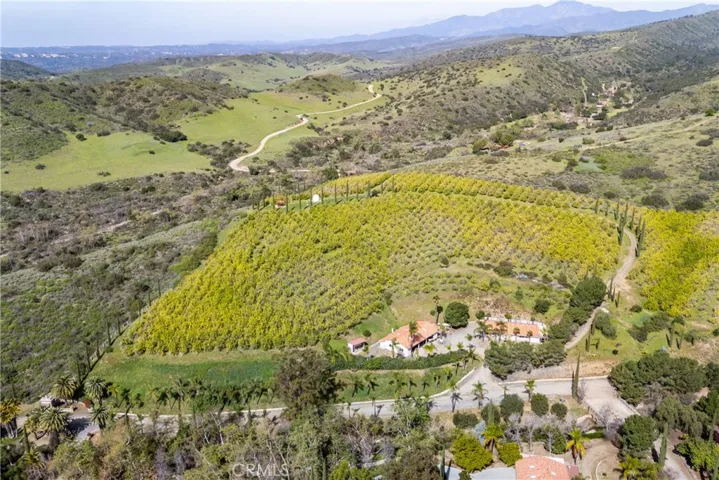 Headquarters and Lemon Groves