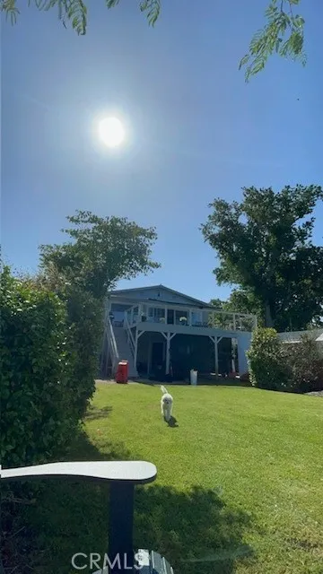 Pets love it here.