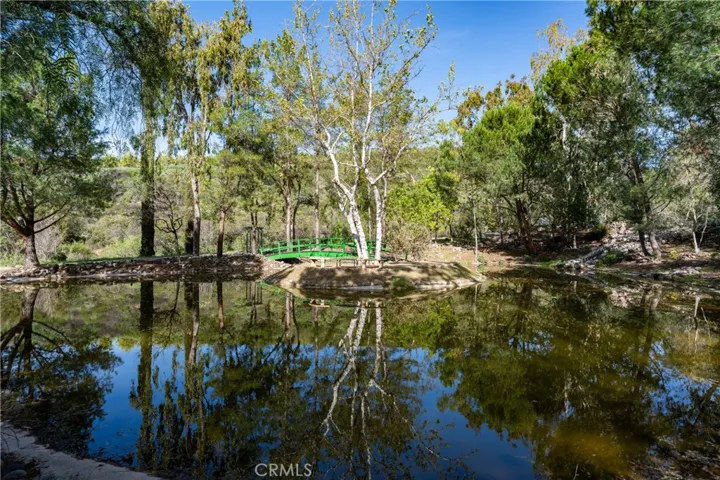 Monet Pond
