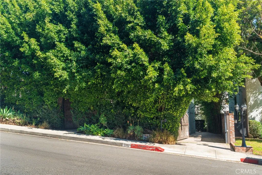 1240 N Olive Drive, West Hollywood, California 90069 home-pic-32