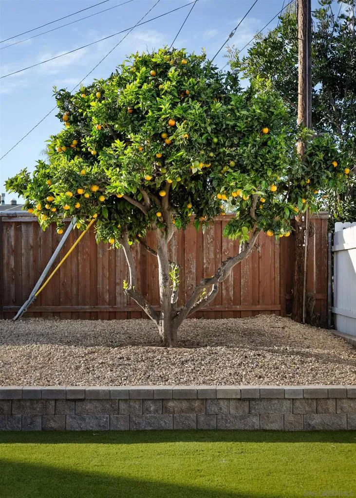 1412 Frankfort St, San Diego, California 92110 home-pic-32
