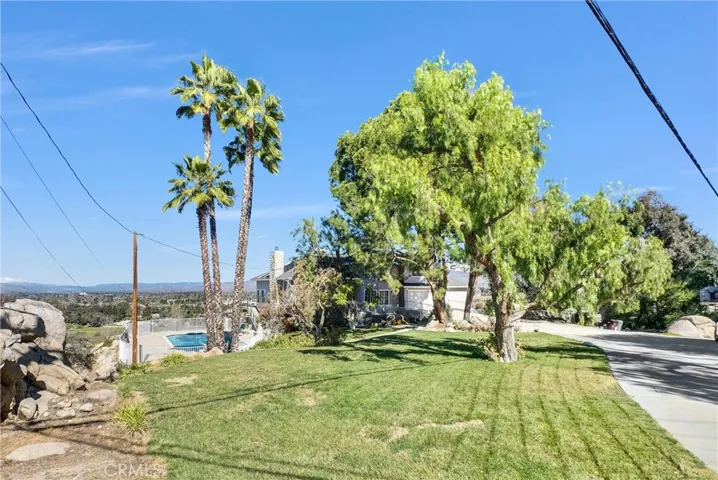 Three mature palm trees near the entrance to the pool.